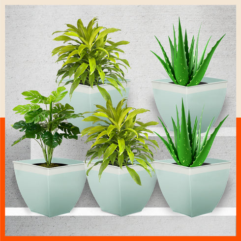 MYLA Metal Square Planters / Pots for Home / Garden / Balcony | Medium – Blue & White - Set of 5
